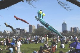 Austin Kite Festival on the Lawn at Zilker Park. (Photo/Eric Beggs)