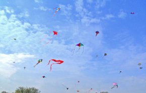 How does a kite fly?