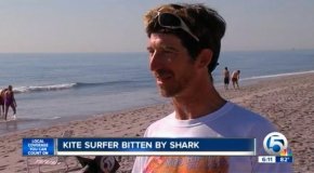 Kurt Hoffman said a shark attacked him while he was kite surfing along Delray Beach in Florida.