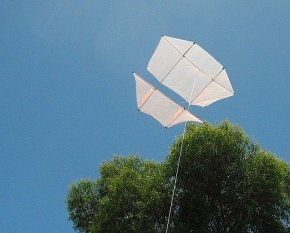 The Dowel Dopero kite in flight.