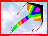 Best Kite for Kids