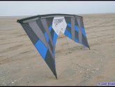 Revolution Kites for sale