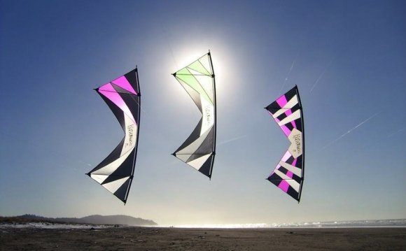 Quad Line Kites