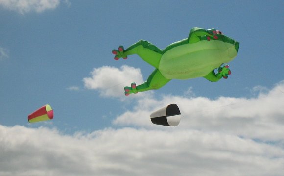 Different kinds of kites seen