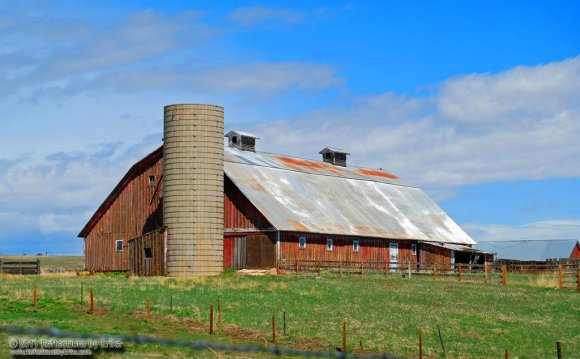 Barn - Black Forest, CO