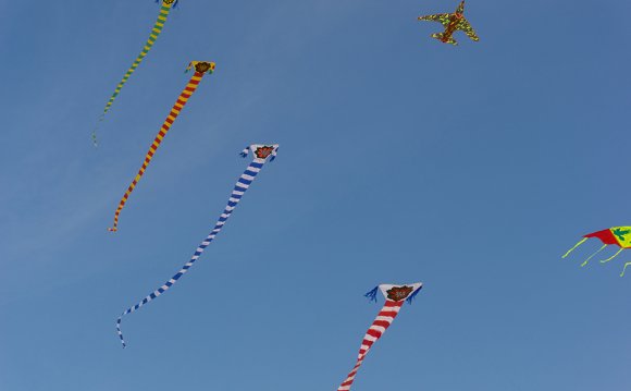 Flew homemade kites as