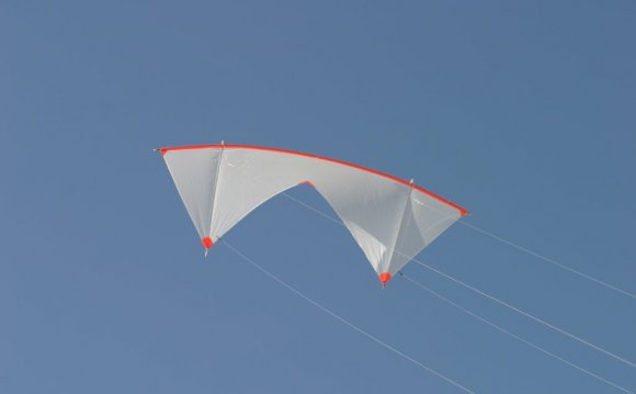 Revolution Kite