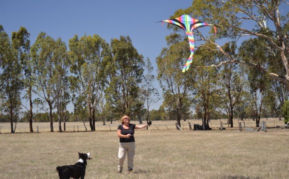 Kite tips 1