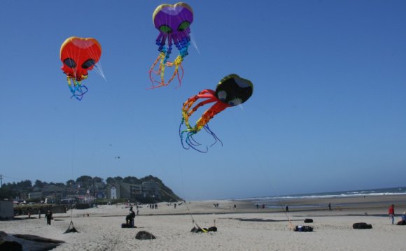 Kite Flying Locations