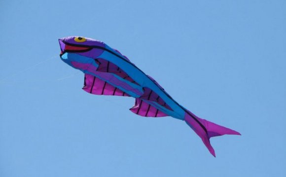 From Flying Smiles Kites