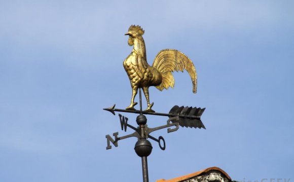 Wind-vane