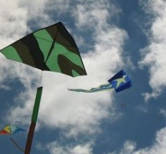 A large green Delta and a blue Sled over Semaphore Beach