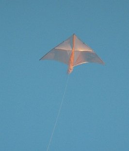 A lightly built dowel-and-plastic Delta would make a fine indoor kite!