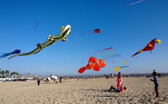 Japanese Kite Festival