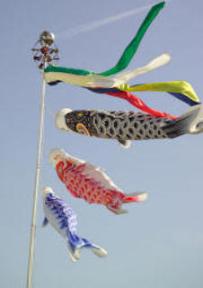 Carp kites