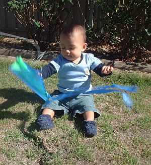 Child Flying Kite - Toddler Aren with the Baby Sled.