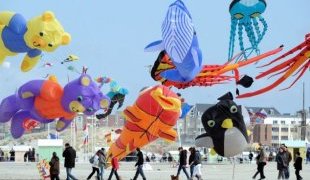 Colourful: The festival takes place on the golden sands of Berck-Sur-Mer in Pas de Calais and attracts all manor of weird and wonderful kites