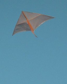 Dowel Delta kite in flight.