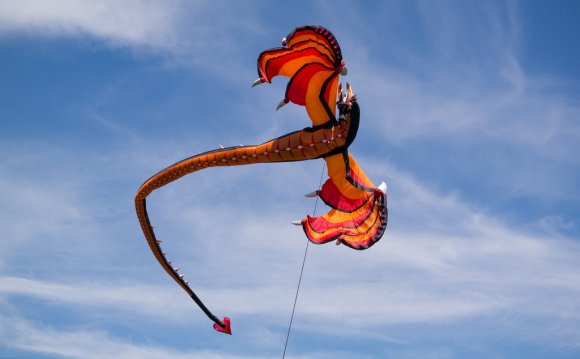 Brighton Kite Festival