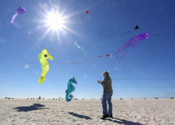 Glenn Granade of Melrose adds another seahorse to his sky display at the Treasure Island Kite Festival earlier this year. Organizers have scaled back an upcoming festival because of state rules. LARA CERRI | Times