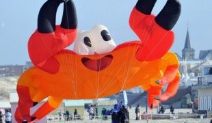 Impressive: These kite enthusiasts show off their flying skills as they manouvre a giant crab