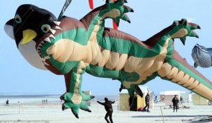 Kite fight: A giant lizard kite appears to be swallowing a smaller penguin