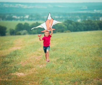 Kite flyer