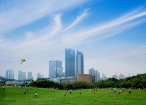 kite, skyscraper, park, people