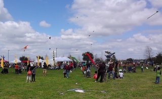 KiteFest030114_125902