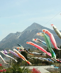 koinobori