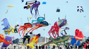 On display: Spectators watch as all manor of kites including a giant lizard, teddy bears, a penguin and an octopus fill the sky with colour