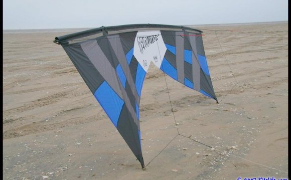 Revolution Kites for sale