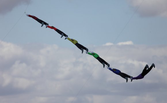 Royston Kite Festival