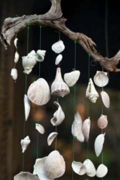 Sea Shell Wind Chimes