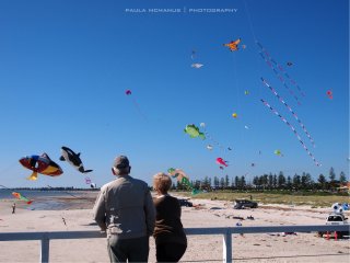 Semaphore Kite Festival