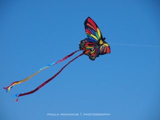 Semaphore Kite Festival