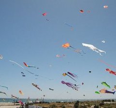 Side-on shot showing a cloud of many different kinds of kites in the air at once