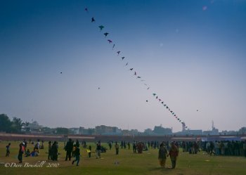 string of kites fly in air of kite festival