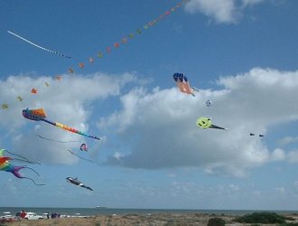 Taiwanese autumn-leaf kites in a long train, along with a few large inflatables