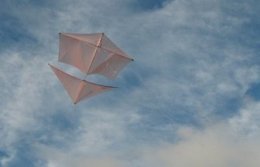 The Dowel Roller is a fine looking light-wind kite!