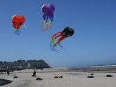 Best kites to Fly