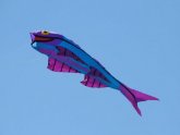 Flying Smiles kites
