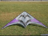 Flying Wings kites