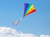 Homemade kites that flying