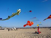 Japanese Kite Festival