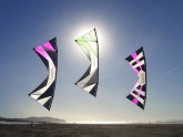 Kite flying Association