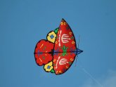 Kite flying Essay