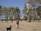 Kite flying Lessons