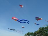 Kite flying Tips