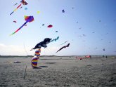 Ocean Shores Kite Festival